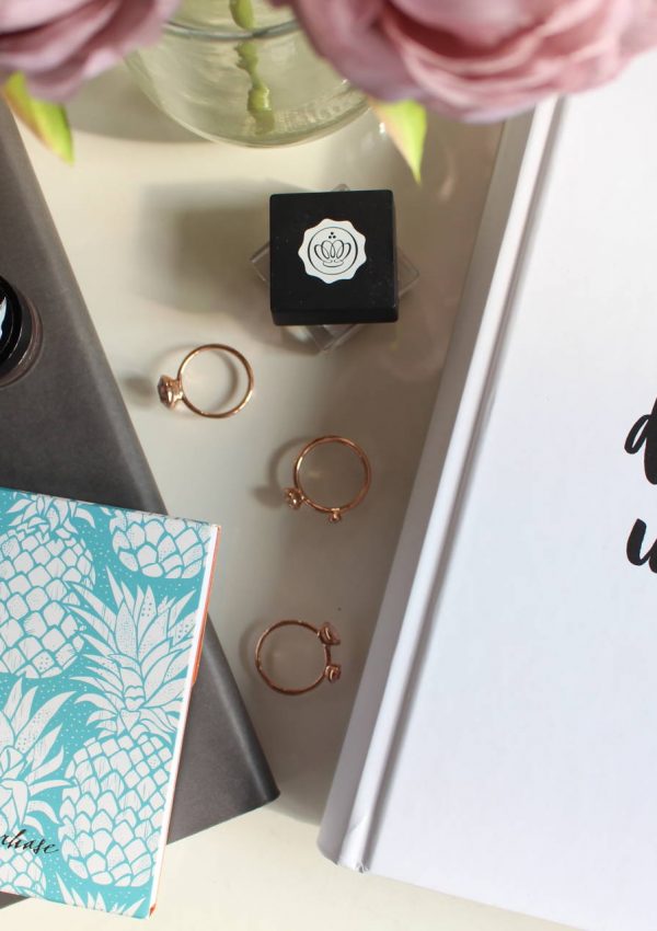 The Blogger’s Planner
