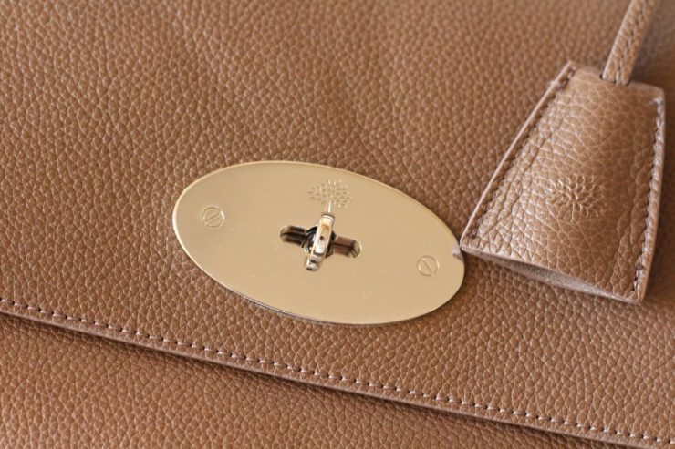 Mulberry medium lily