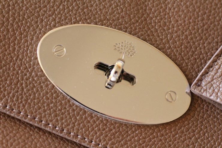 Mulberry medium lily