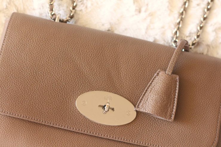 Mulberry medium lily
