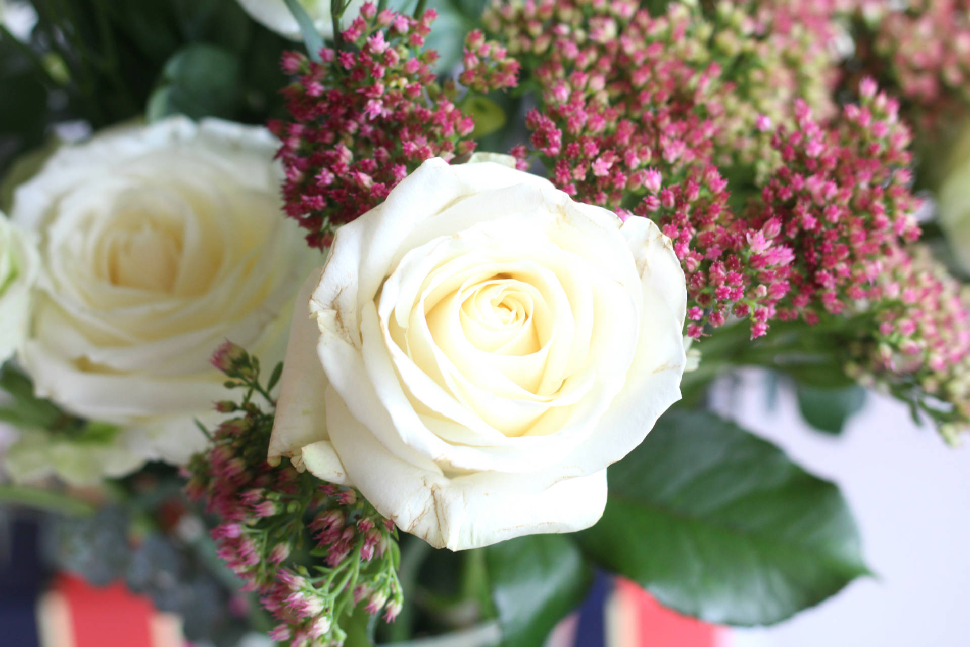 Freddie's Flowers