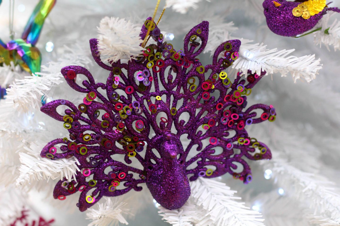 Festive