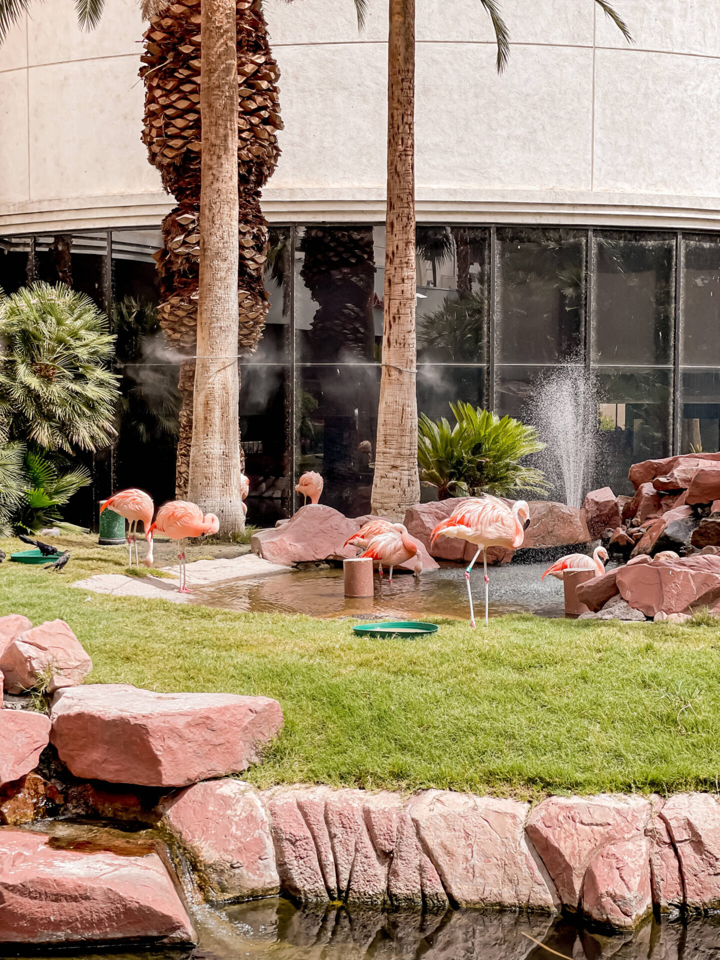 6 things you need to see and do in Las Vegas